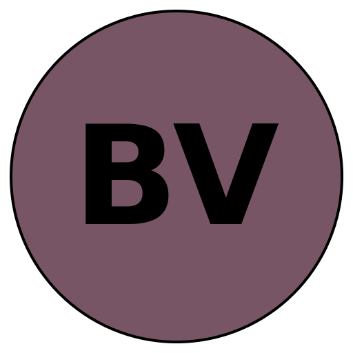 Boundless Voyages