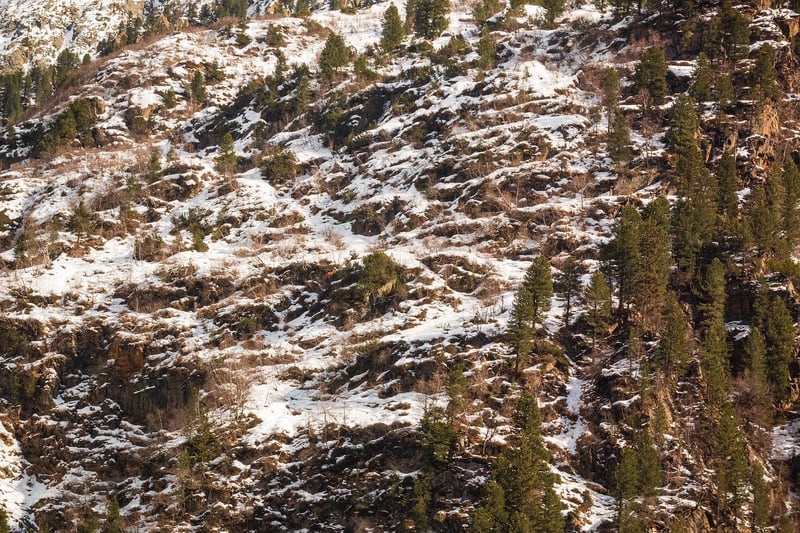 Landscape in untouched wilderness